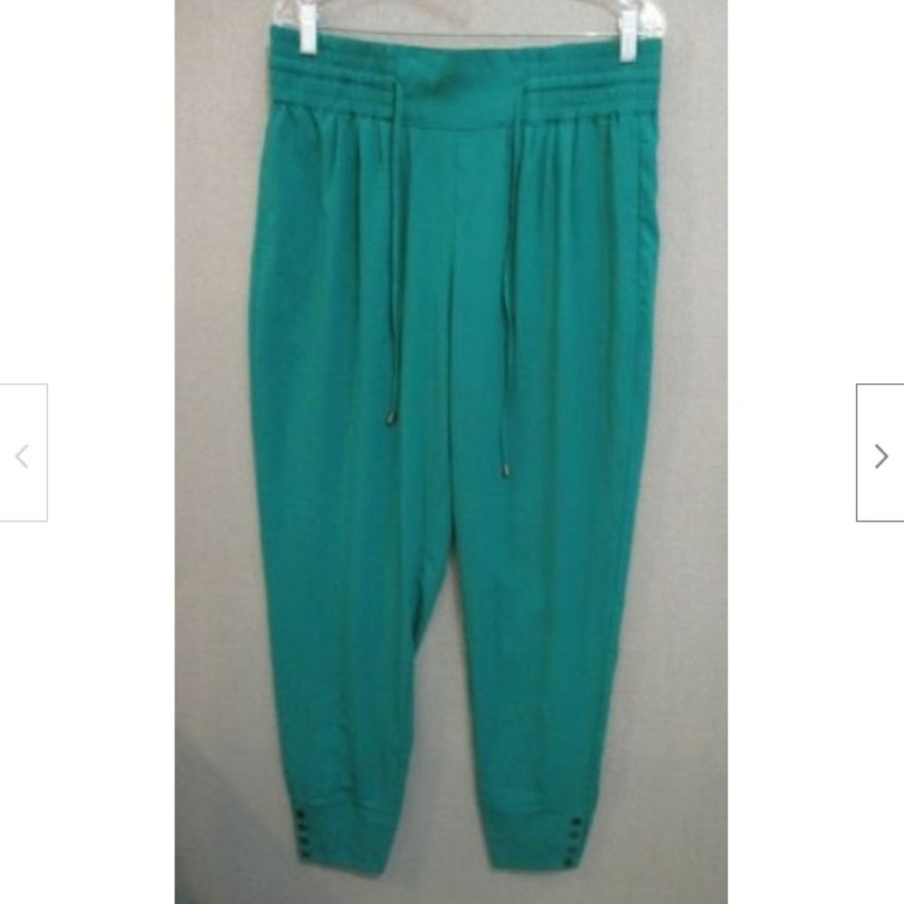 Queen Collection Latifa Pants Size 16